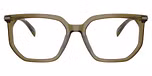 Olive Transparent