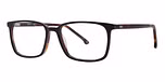 Black Tortoise
