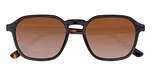 Black / Brown Lenses