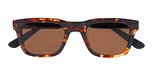 AMBER TORTOISE