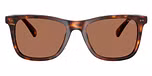 Shiny Brown Tortoise / Dark Brown