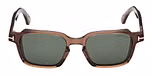 Shiny Light Brown / Shiny Light Brown / green