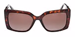 DARK HAVANA / DARK HAVANA / GRADIENT BROWN