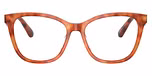 Caramel Tortoise