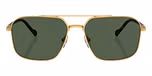 Gold / Dark Green Polarized