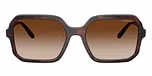 Brown Havana / Brown / Brown Gradient