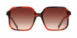 RED TORTOISE