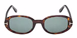 DARK HAVANA / DARK HAVANA / GREEN