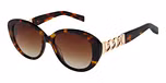 TORTOISESHELL / GRADUATED