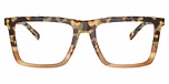Brown Block Tortoise