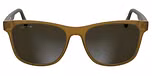 TRANSPARENT BROWN