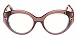 SHINY DARK BROWN / SHINY DARK BROWN