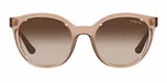 TRANSPARENT BROWN / light brown / brown gradient