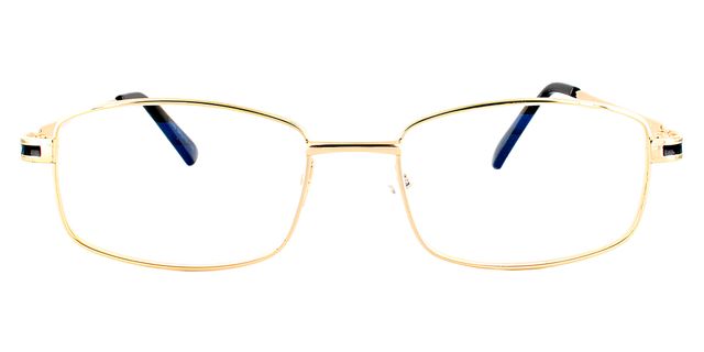 Optical accessories - 5890 - Gold