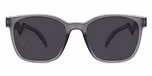 Grey / Polarized