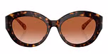 Dark Tortoise / Brown Gradient