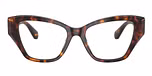 Havana / Tortoise