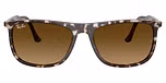 Havana Yellow Tortoiseshell / Gradient Brown