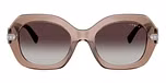Transparent Brown / Brown / Grey Gradient
