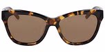 SOFT TOKYO TORTOISE
