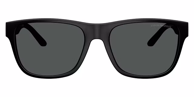 Emporio Armani - EA4243