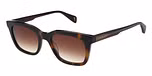 GLOSS CLASSIC TORT / GRADUATED