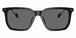 Shiny Black / Polarized Dark Grey