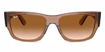 Transparent Light Brown / Clear & brown
