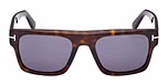 Dark Havana / Dark Havana / blue