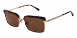 BRUSH GOLD/TORT