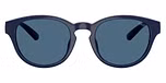 Shiny Navy Blue / Dark Blue
