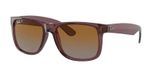 TRANSPARENT DARK BROWN / brown / gradient brown polarized