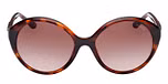 DARK HAVANA / DARK HAVANA / GRADIENT BROWN