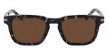 BLACK TORTOISE