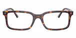 Havana / Tortoise