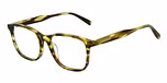 GLSS KHAKI GRN HORN