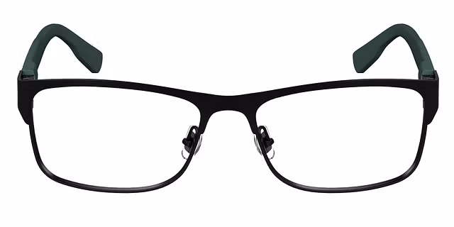Lacoste - L2294